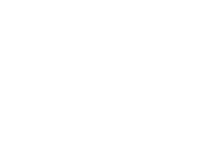 Erasmo Giron Flame Logo in white